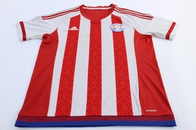 Double Layered Thermal Insulation Tight Feel Adidas Embroidered Logo APF Paraguay Striped Soccer Jersey