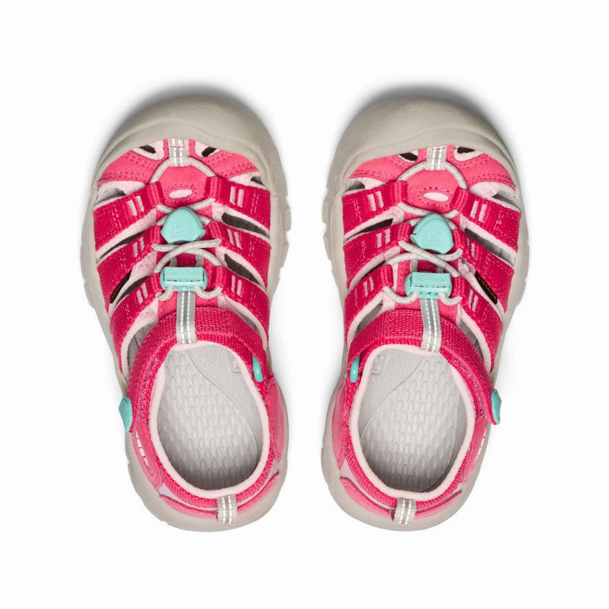 Little Kids' Newport H2  |  Raspberry/Giggle Pink Multi Terrain Anti Fatigue