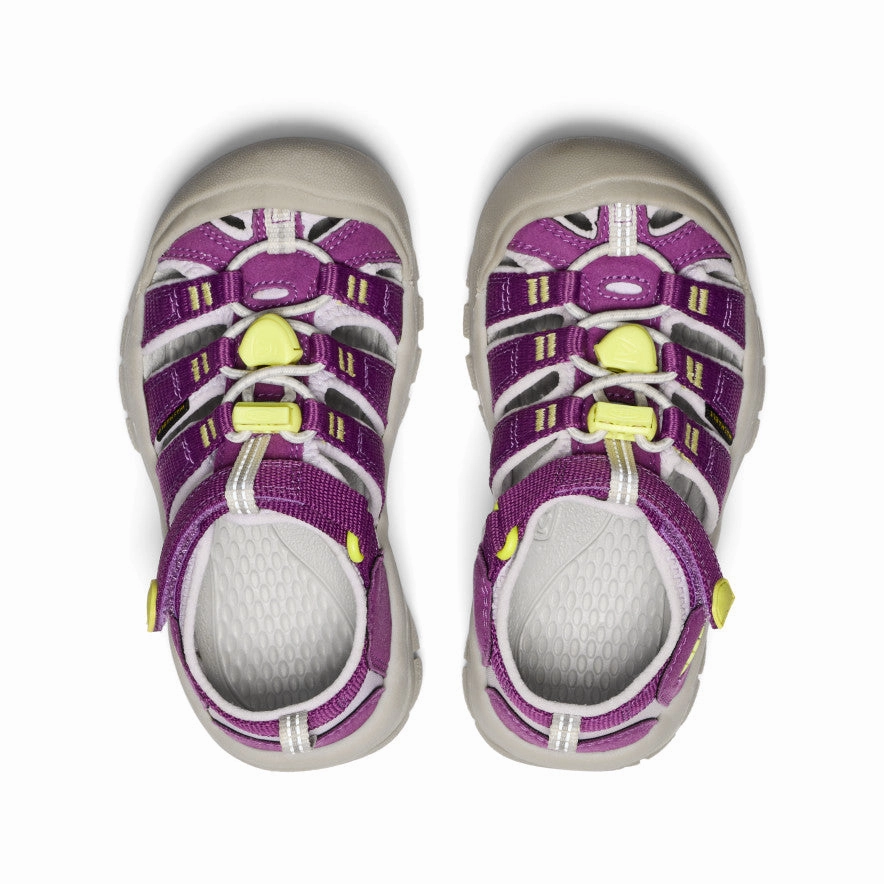 Comfort Padding Little Kids' Newport H2  |  Charisma/Daiquiri Green