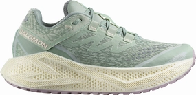 Salomon Aero Glide 3 GRVL Womens Trail Running Shoes - Green Cross Tension System Leather Luxury