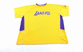 Low Friction Texturing Majestic Embroidered Los Angeles Lakers Warm Up Jersey