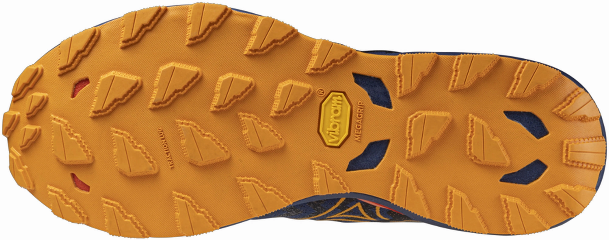 leisure - time shoes Mizuno Wave Daichi 8 Mens Trail Running Shoes - Blue