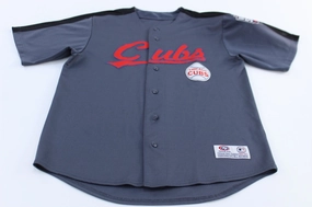 Chicago Cubs World Series True Fan Baseball Jersey Reflective Safety Detailing Adaptable Fit