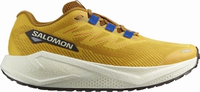 Salomon Aero Blaze 3 GRVL Mens Trail Running Shoes - Yellow Stability Control Plate
