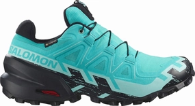 Salomon Speedcross 6 GORE-TEX Womens Trail Running Shoes - Blue Toe Bumper waterproof synthetic shoes