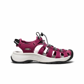 Stream Step Women's Astoria West Sandal  |  Beaujolais/Star White