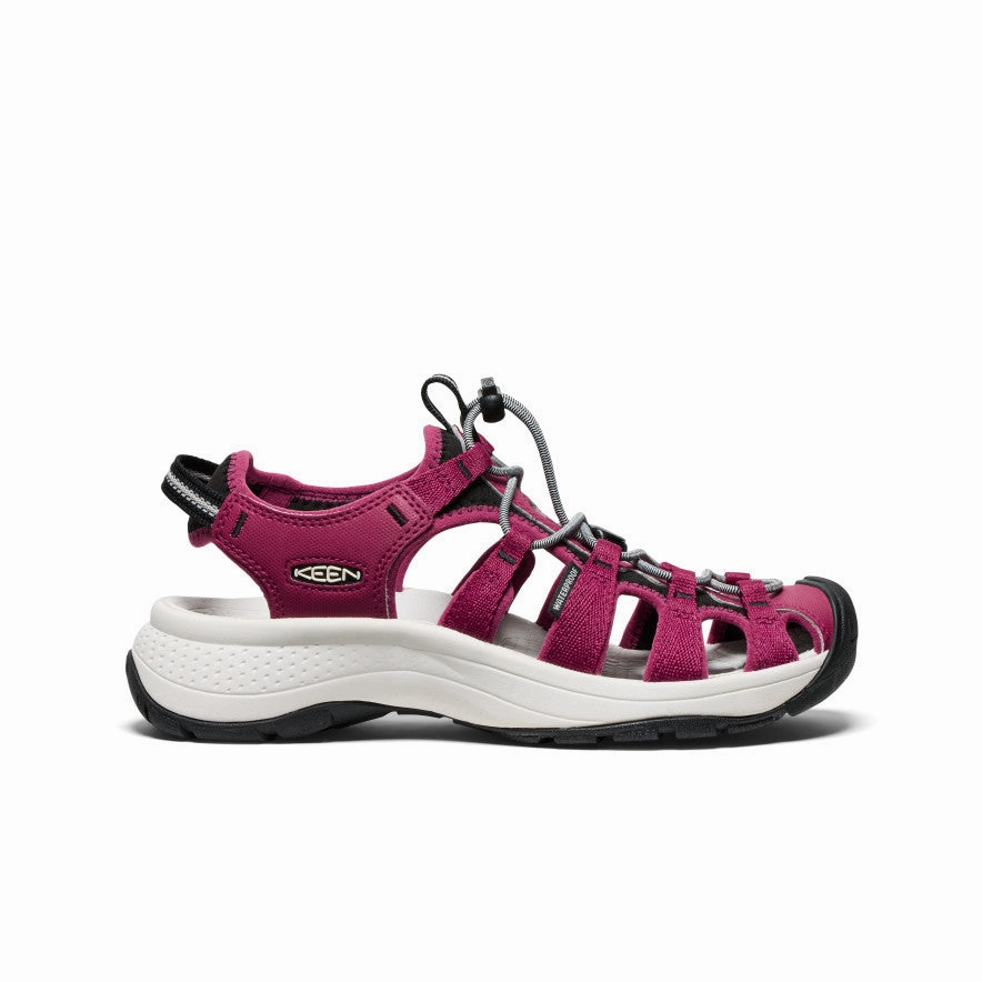 Stream Step Women's Astoria West Sandal  |  Beaujolais/Star White