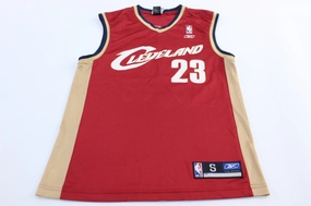 Ventilated Mesh Panel Reebok Embroidered Logo Cleveland Cavaliers LeBron James Jersey